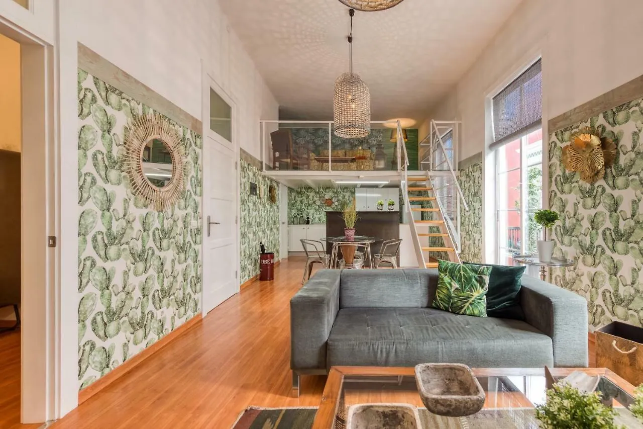 Apartamentos Vegueta لاس بالماس دي غران كاناريا